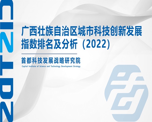 女生被舔逼无码网站【成果发布】广西壮族自治区城市科技创新发展指数排名及分析（2022）